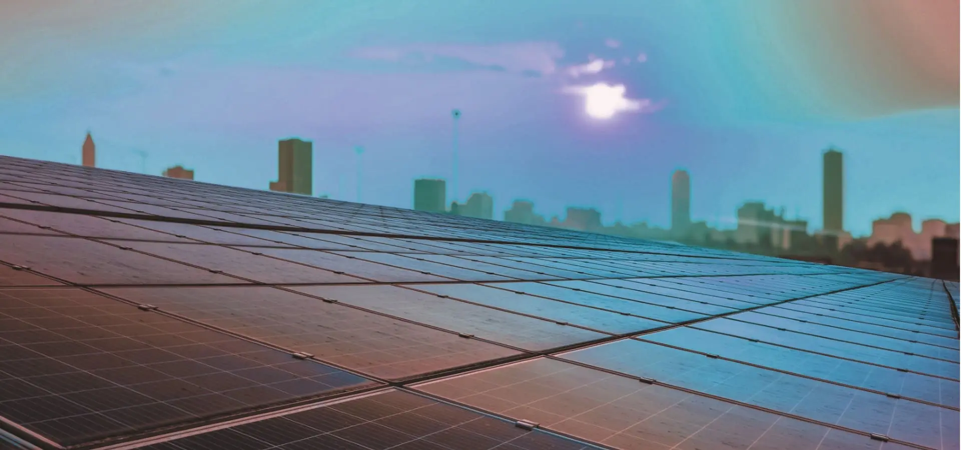 Commercial Eco Providers